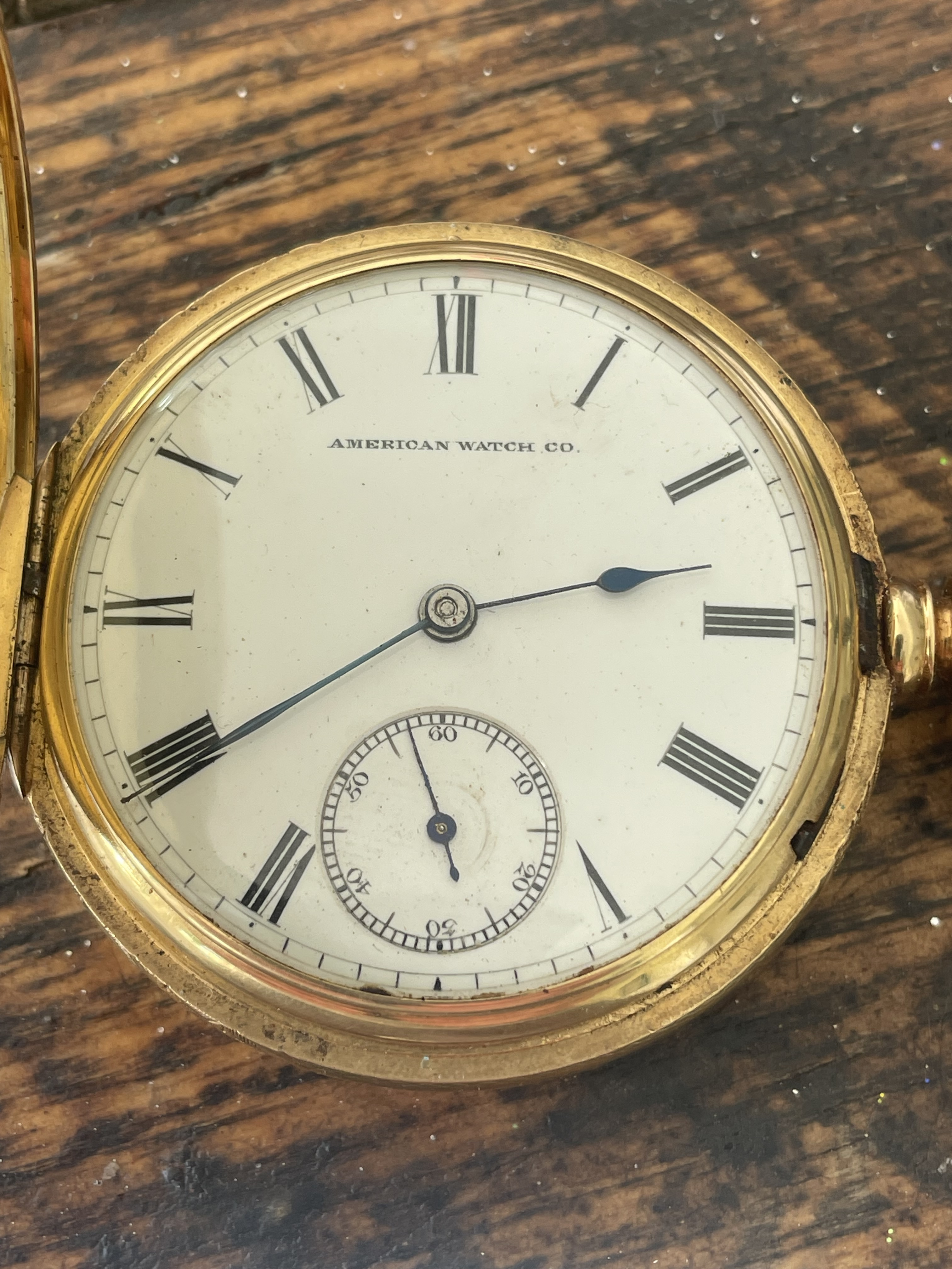 Waltham Grade Riverside Watch #1146019 - 14s, 1315j - Uploaded by