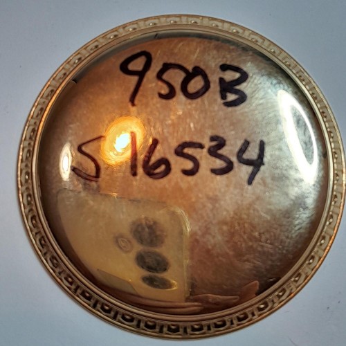 Collection images for S16534 image 1