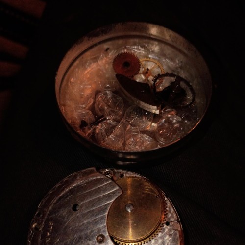 New York Standard Watch Co. Grade 64