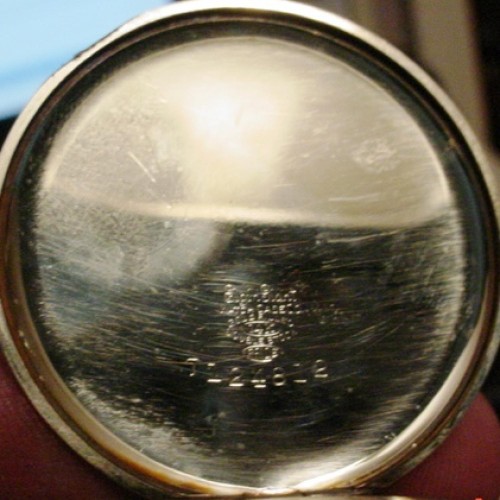 Collection images for 25916268 image 4