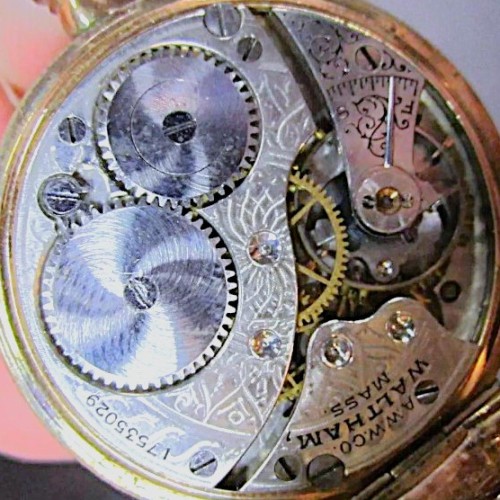 Collection images for 17535029 