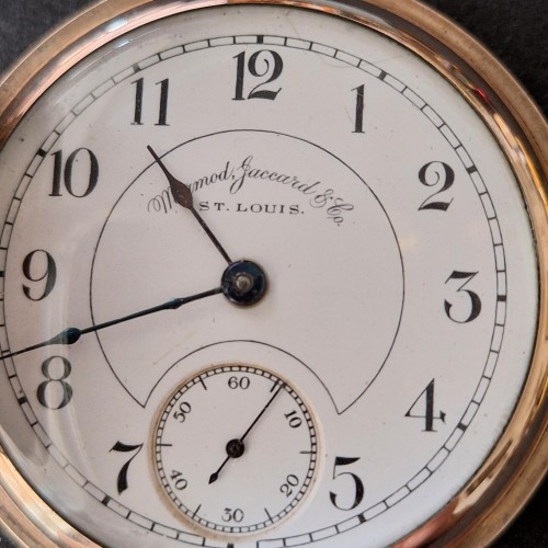 Hamilton Watch Co. Grade 923 Imperial Pocket Watch image 2