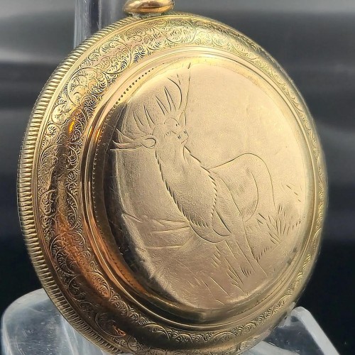 Elgin National Watch Co. Grade 208 Pocket Watch image 3