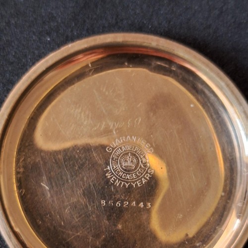 Collection images for 1091913 image 4