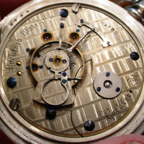 Collection images for 181499 image 1