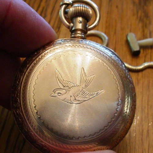 Collection images for 1040999 image 4
