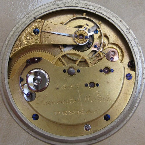 pendant（第1世代）＋ Catlog Board 2 Amazon.com: JSHE Fahion Red Ladybug Shape Stainless Necklace