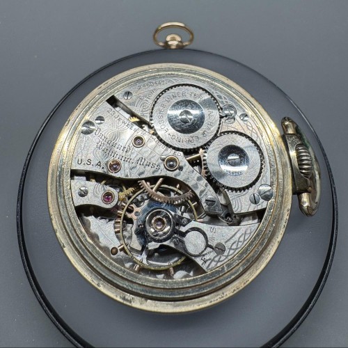 Collection images for 24604471 image 1