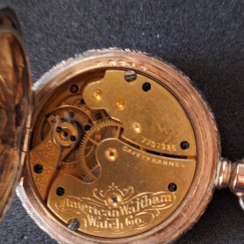 Collection images for 7737928 image 1