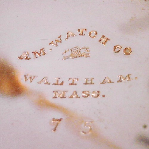 Collection images for 41483 image 2