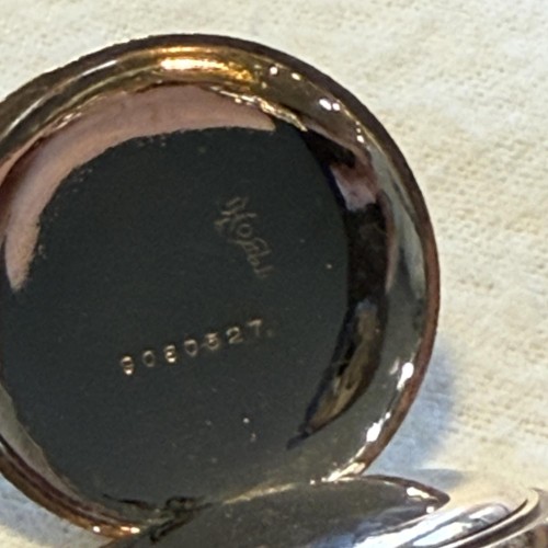 Collection images for 14780192 image 3