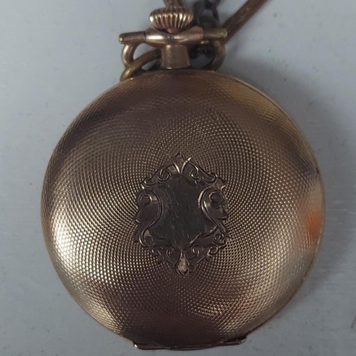 Collection images for 22917947 image 1