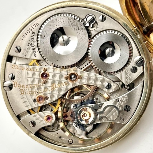Collection images for 19105175 image 1
