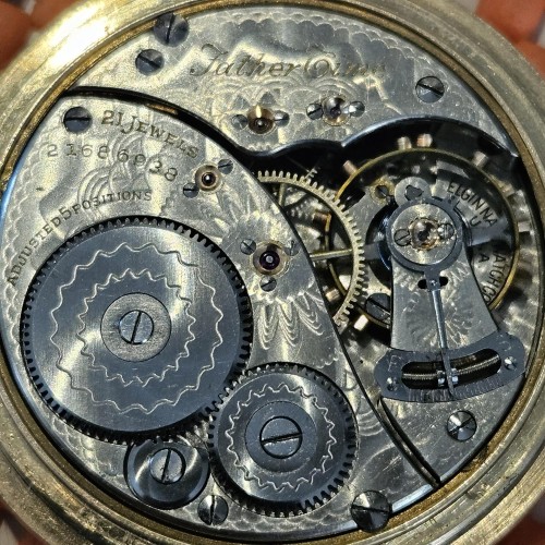 Collection images for 21686938 image 1