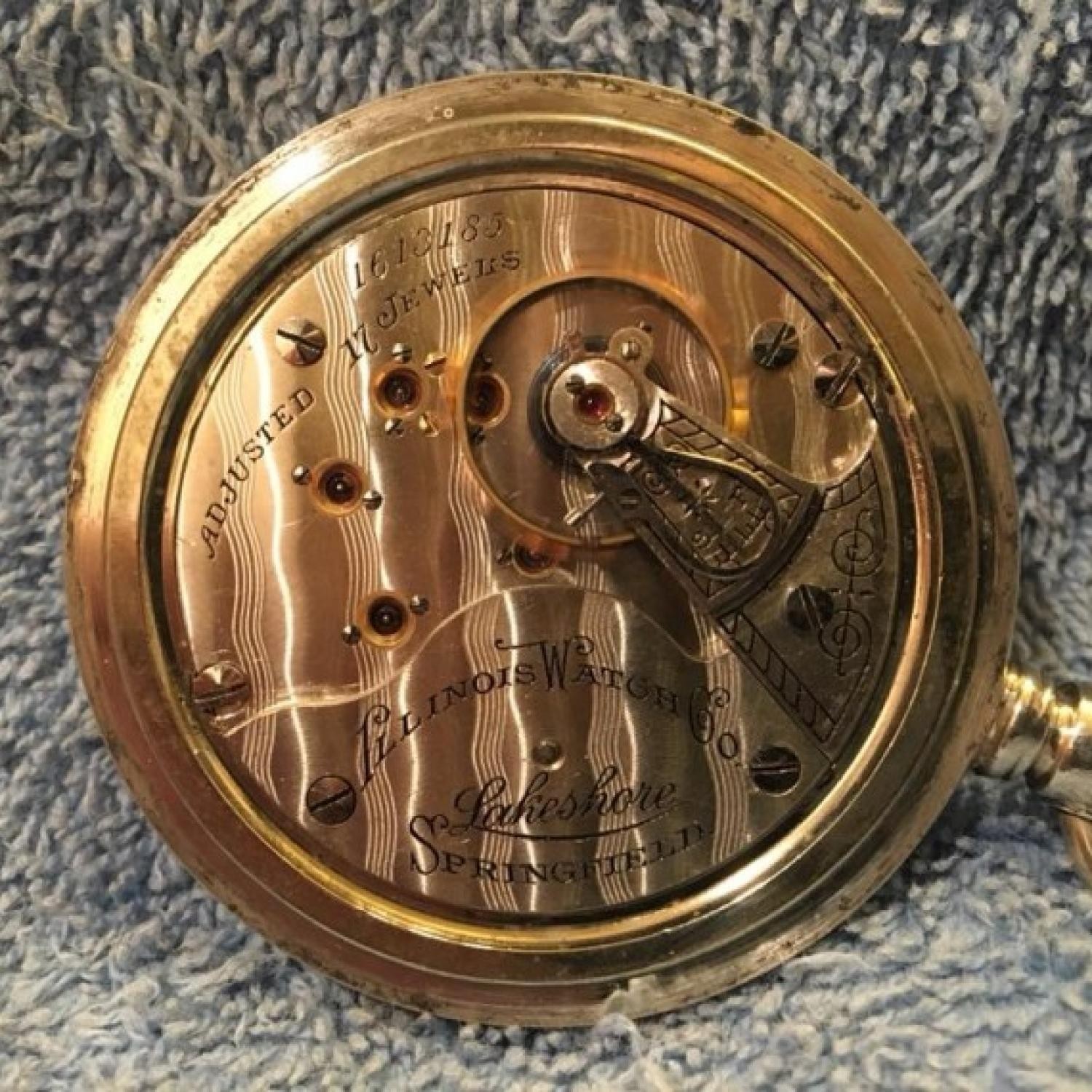 Movement Image for serial 1613185