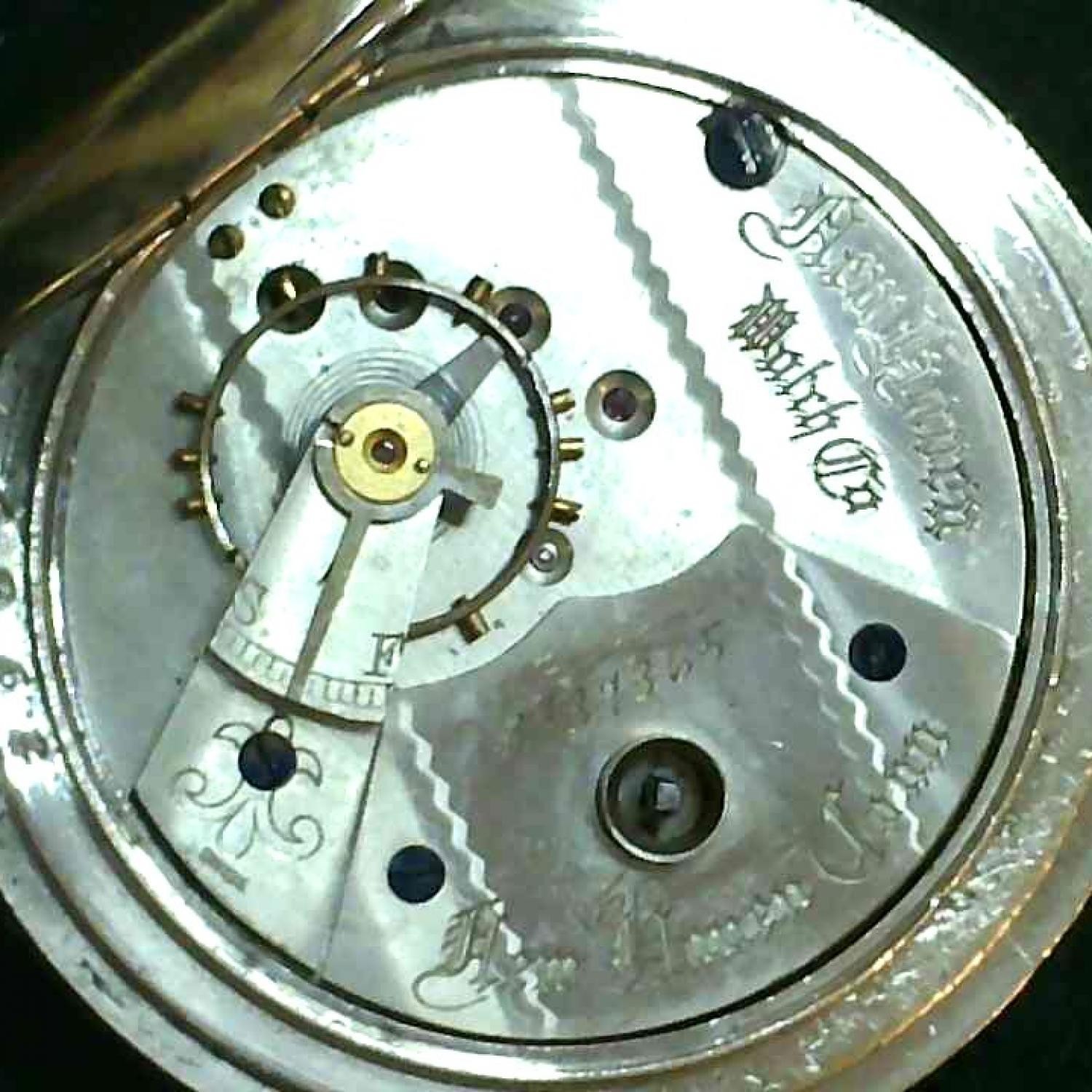 Movement Image for serial 1137365
