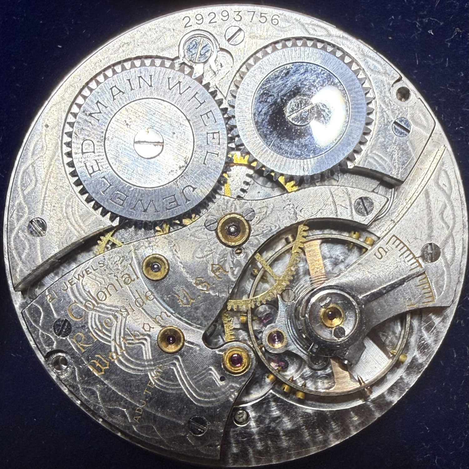 Movement Image for serial 29293756