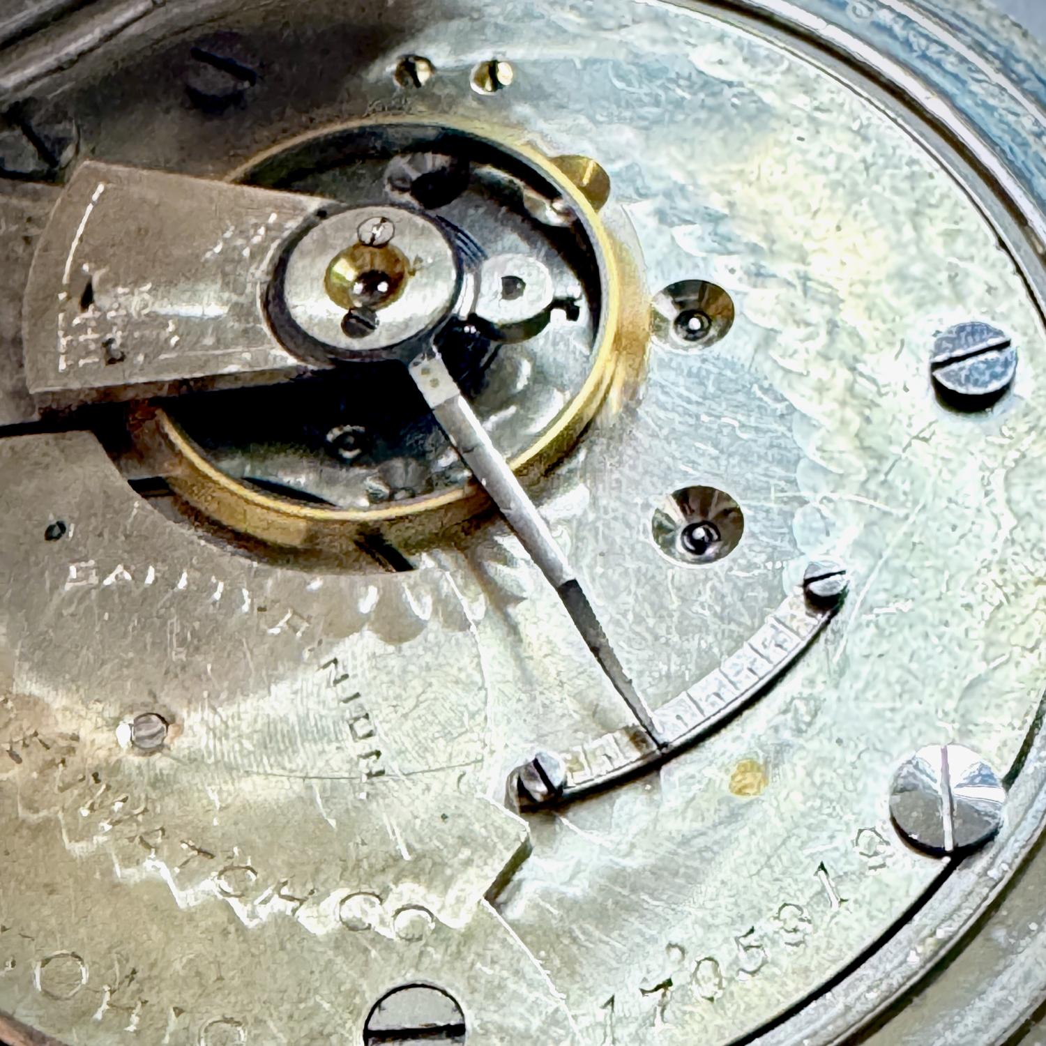 Movement Image for serial 1705919