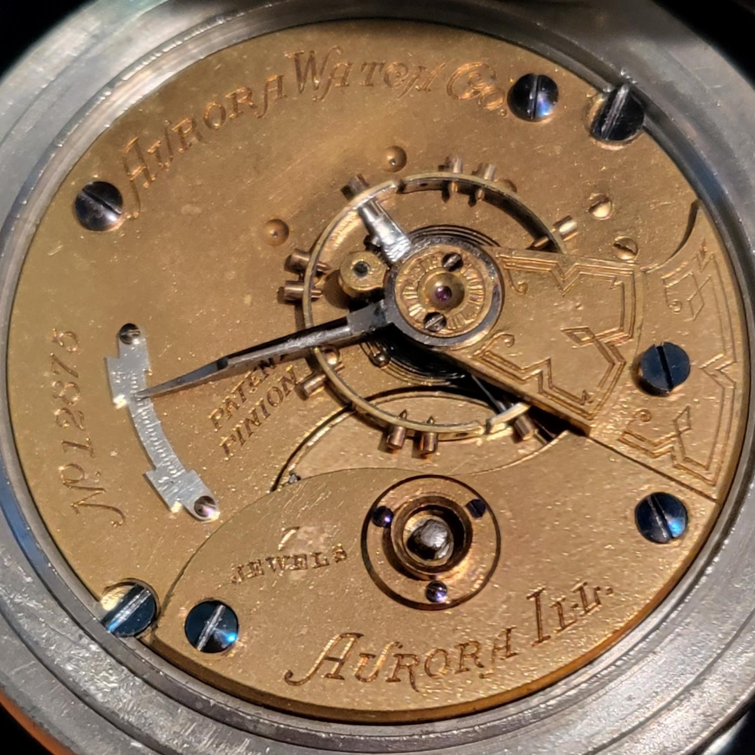 Movement Image for serial 12875