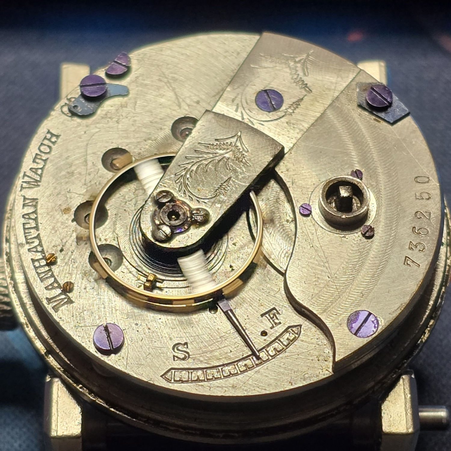 Movement Image for serial 736250