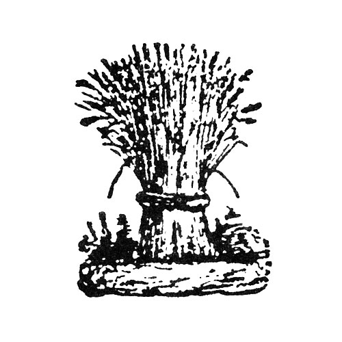 [Wheat] ()